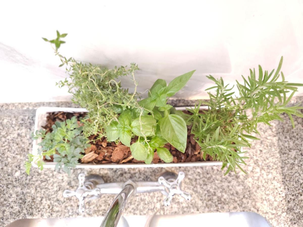 Milca Celeste Nueva Córdoba Exteriér fotografie